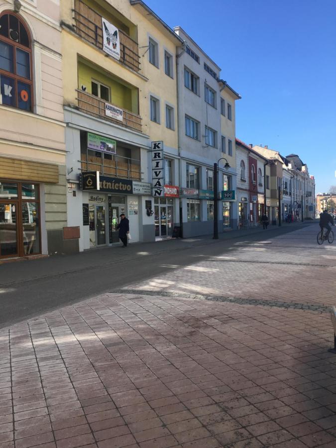 Turisticka Ubytovna Liptovský Mikuláš エクステリア 写真